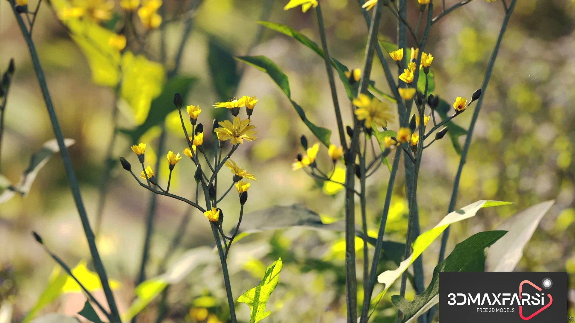 Maxtree – Plant Models Vol 54: 3D grass & flower