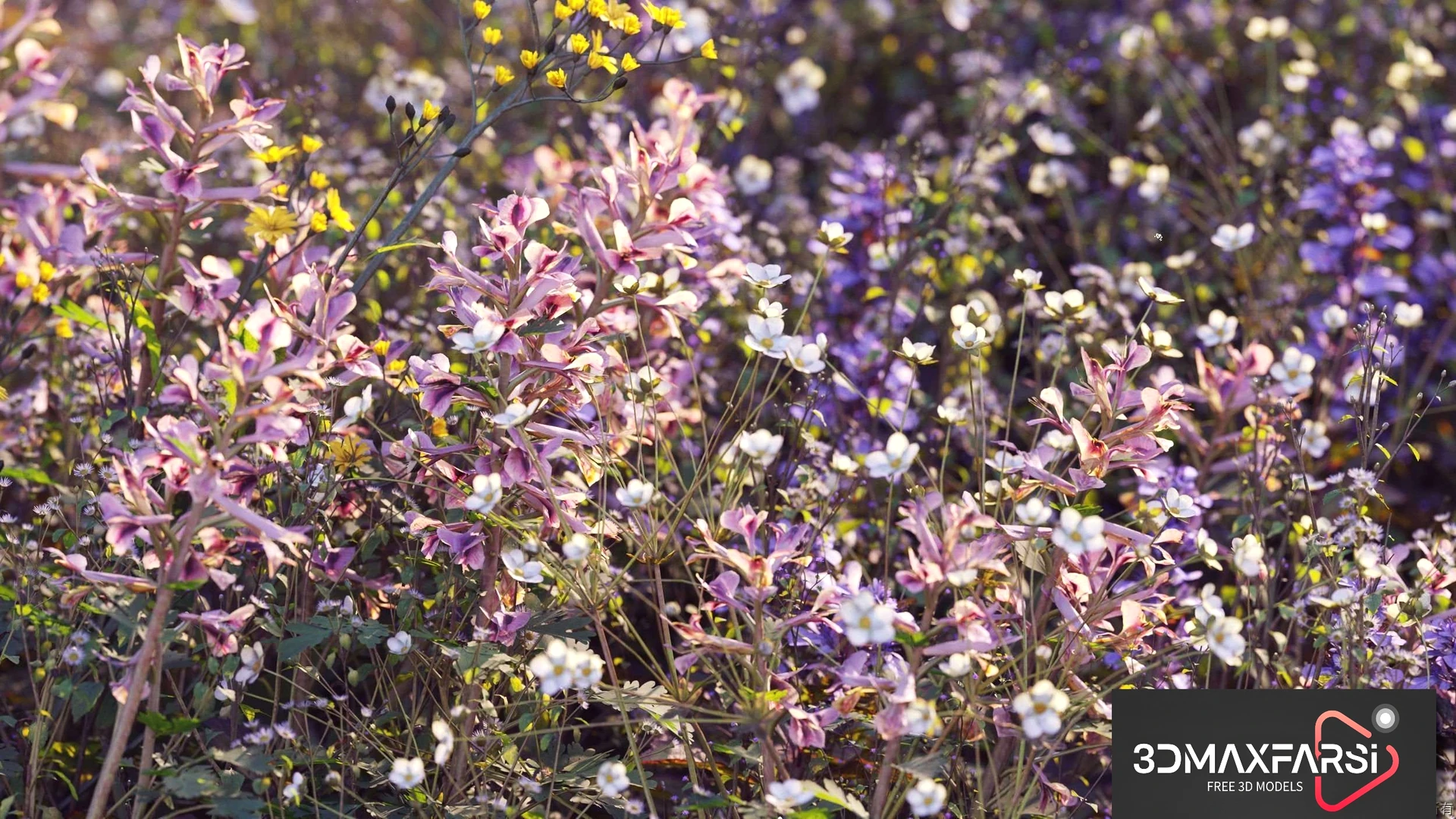 Plant Models Vol 54: 3D grass & flower models