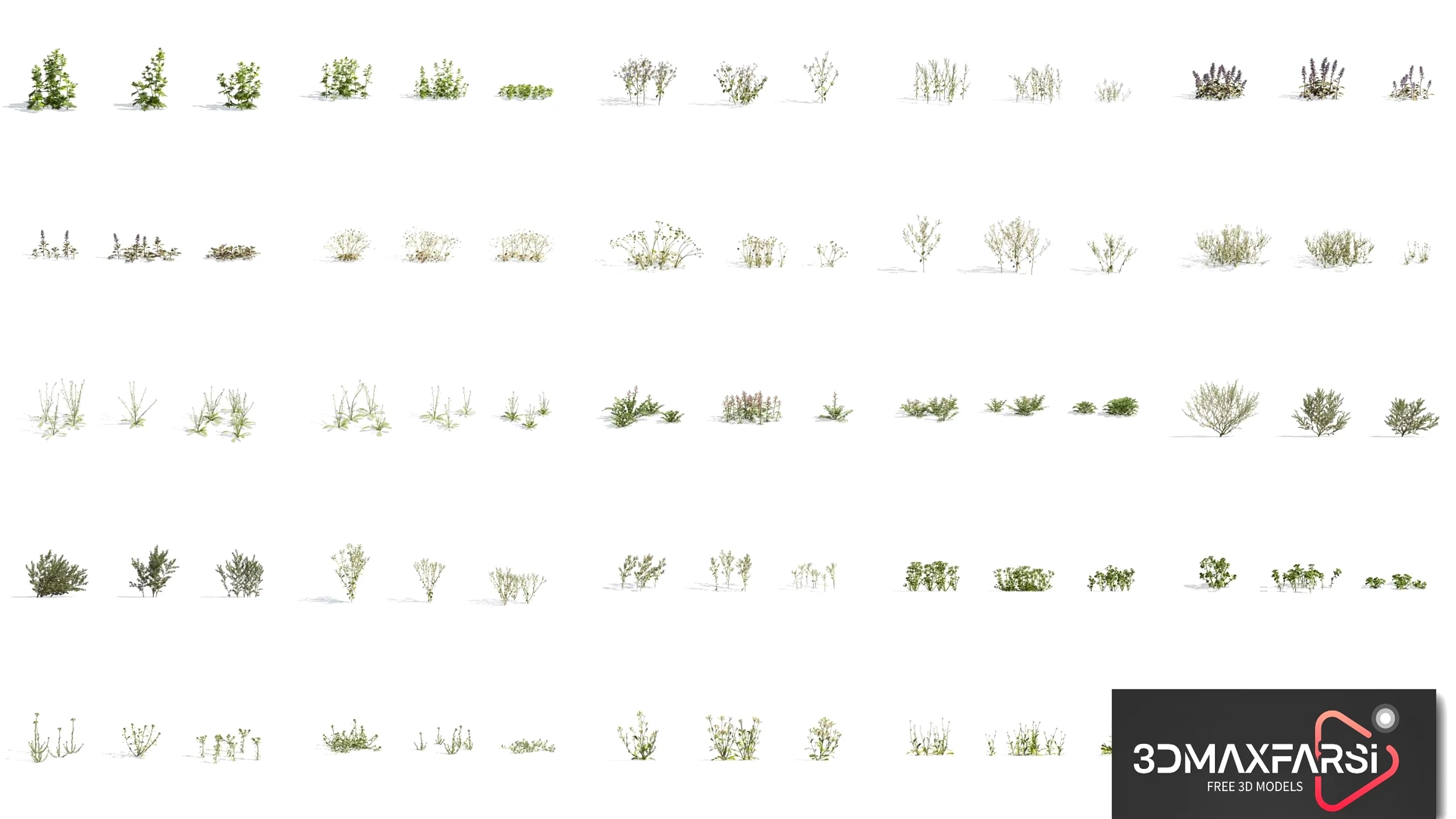 Plant Models Vol 54: 3D grass flower