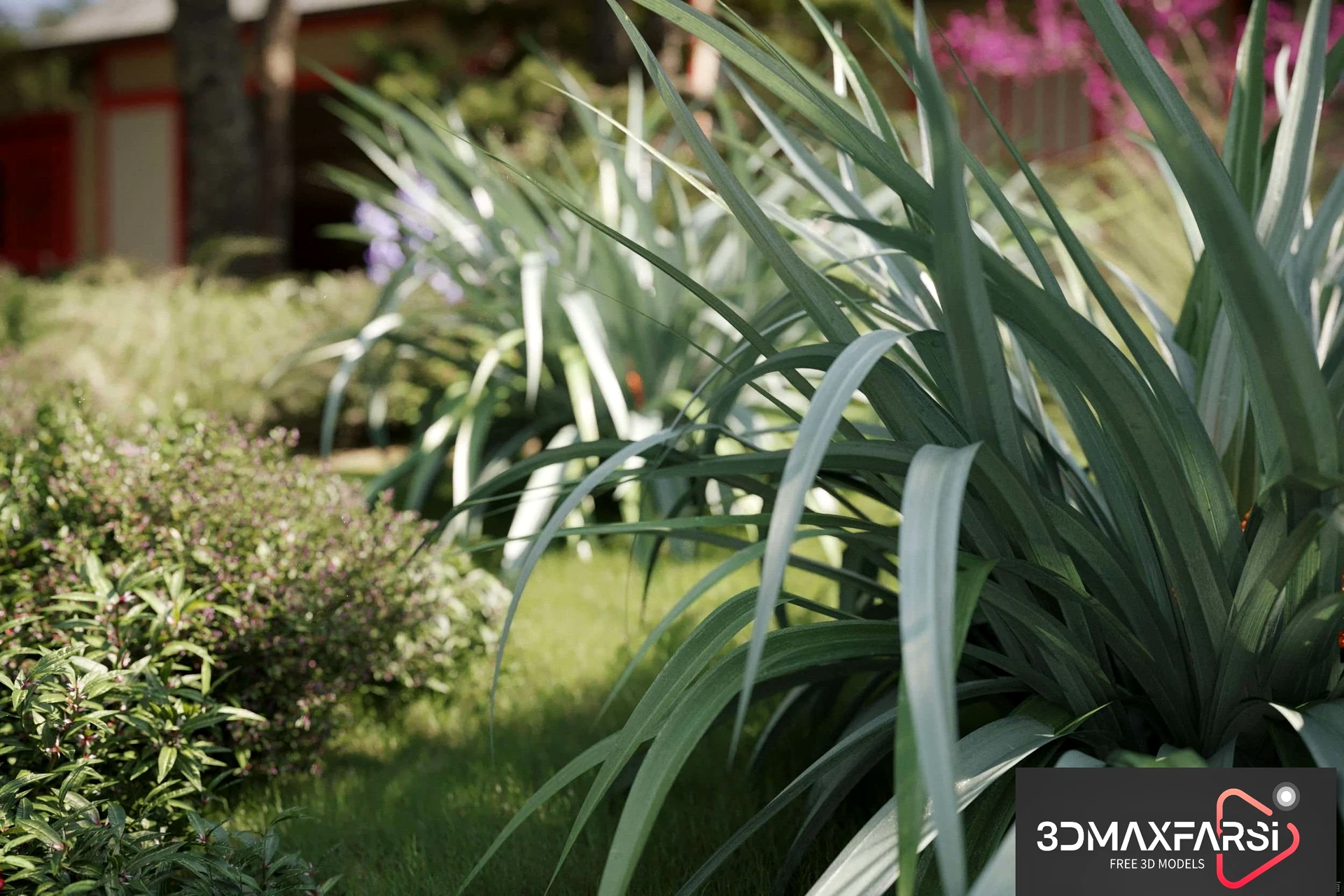 [Download] Maxtree – Plant Models Vol 55 3D plant models