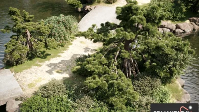[Download] Maxtree – Plant Models Vol 55: 3D plant models