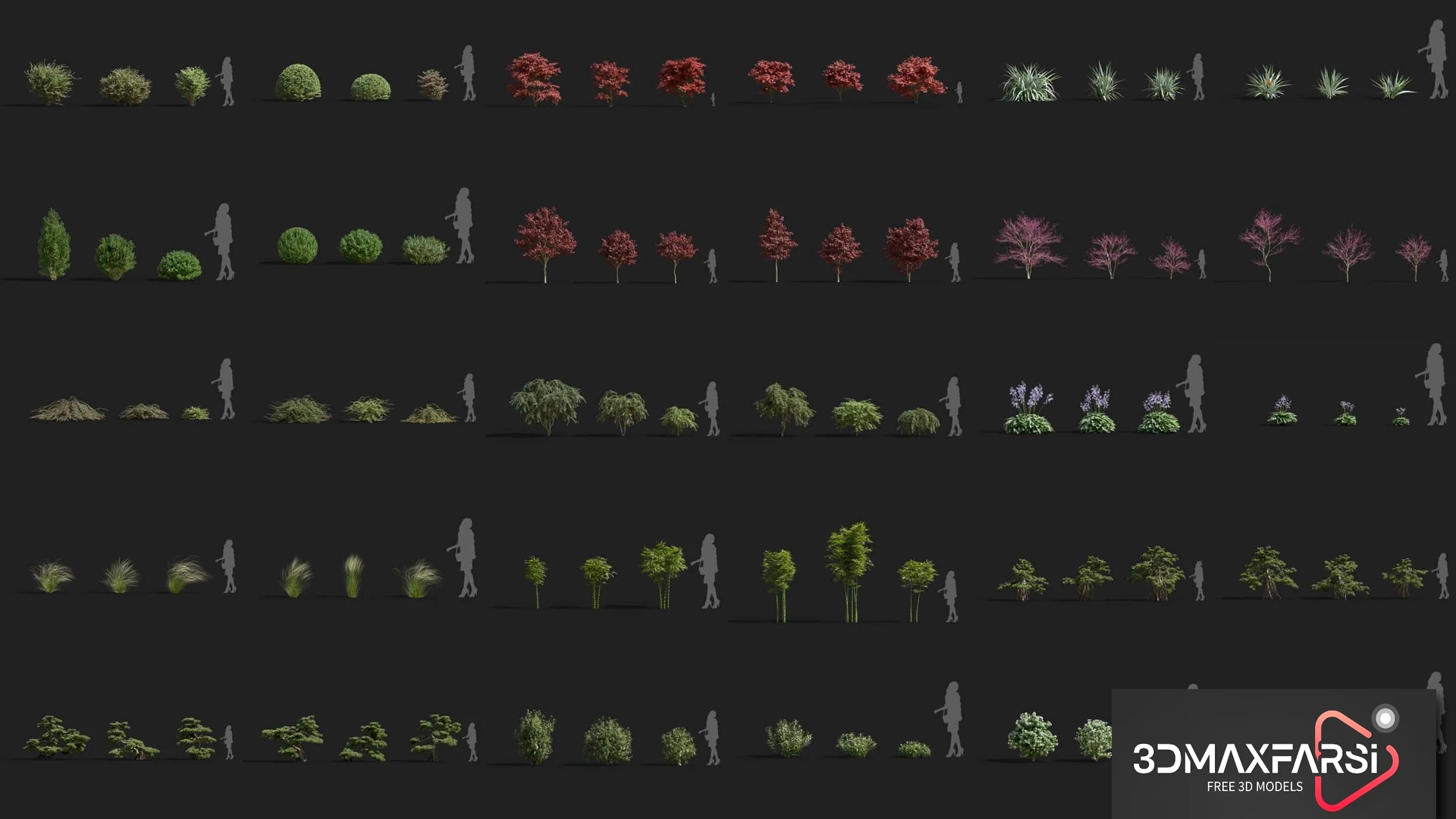 Maxtree – Plant Models Vol 55