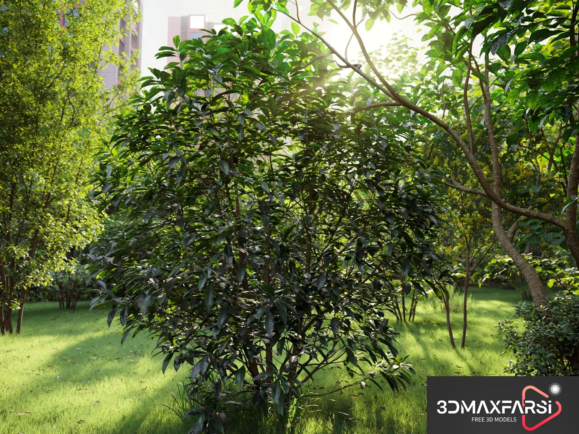 Maxtree – Plant Models Vol 59 New: 3D plant models free