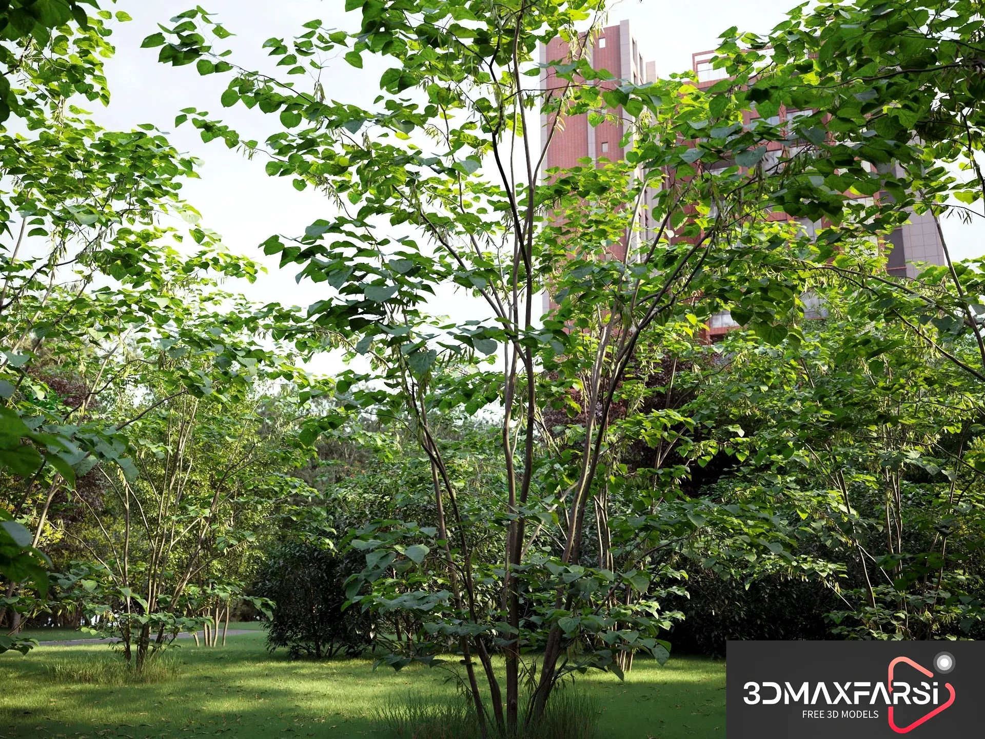 Maxtree Plant Models Vol 59 New: 3D plant models