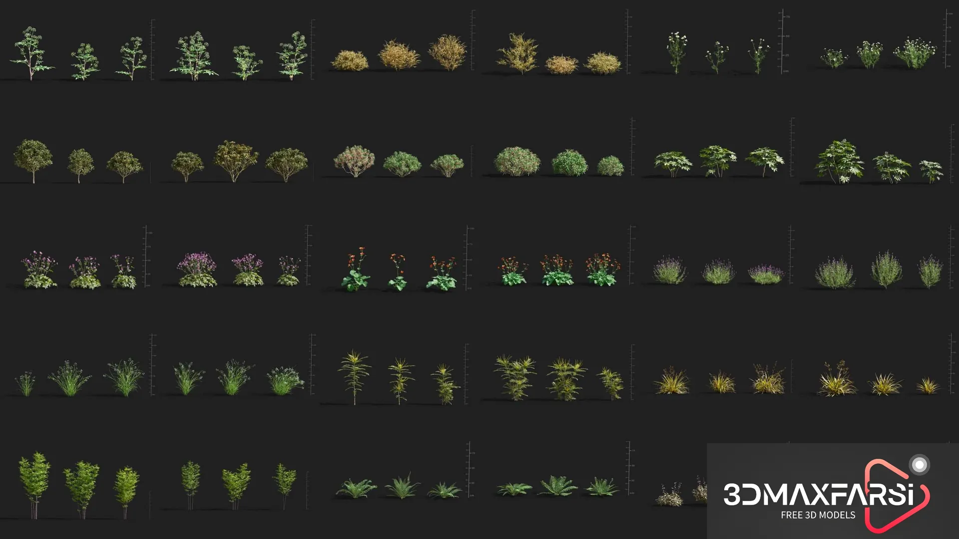 maxtree plant models vol 061