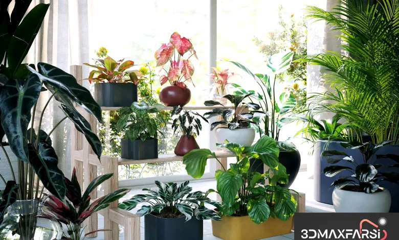 Maxtree – Plant Models Vol 62: 3D flower models