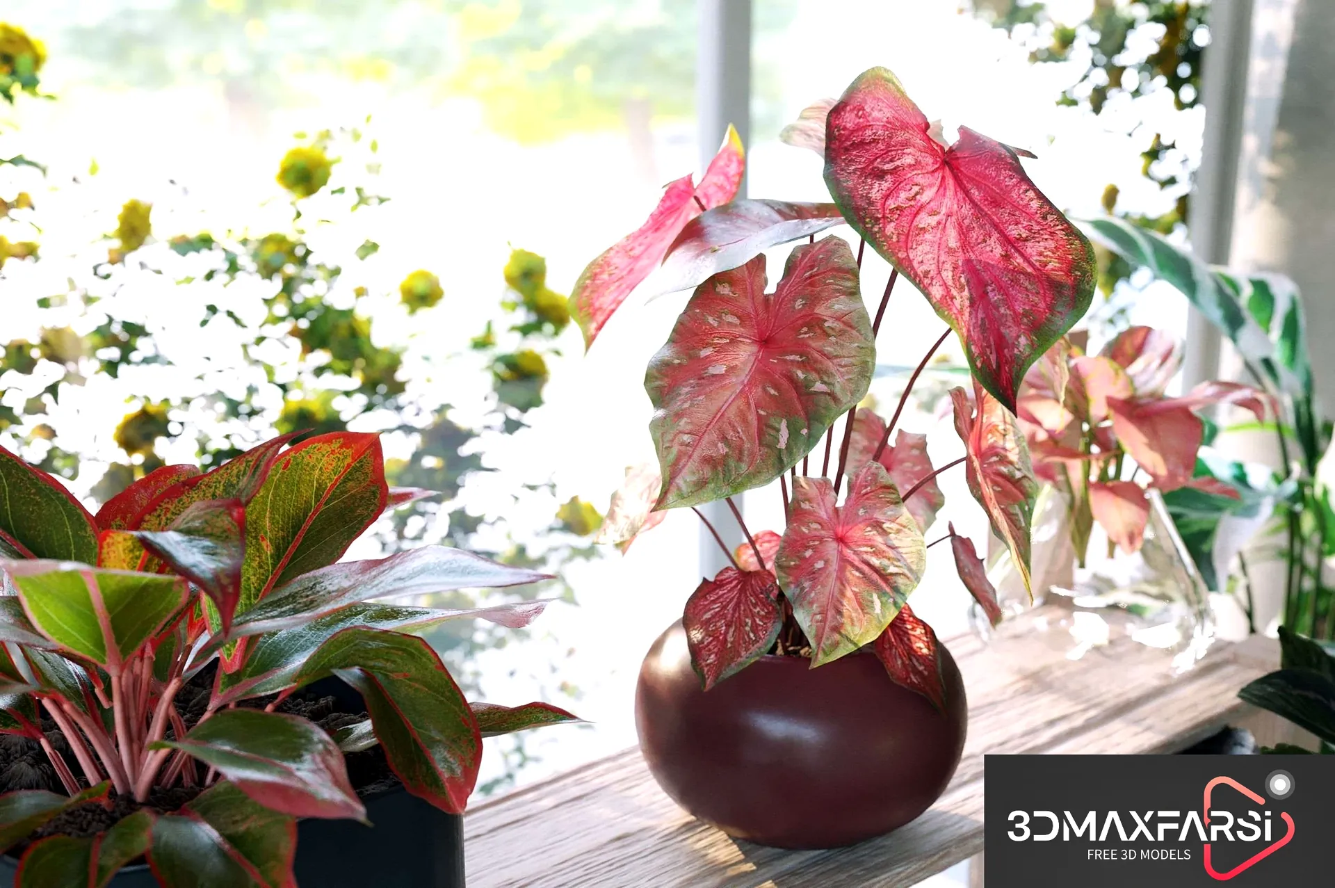Maxtree – Plant Models Vol 62: 3D flower models free