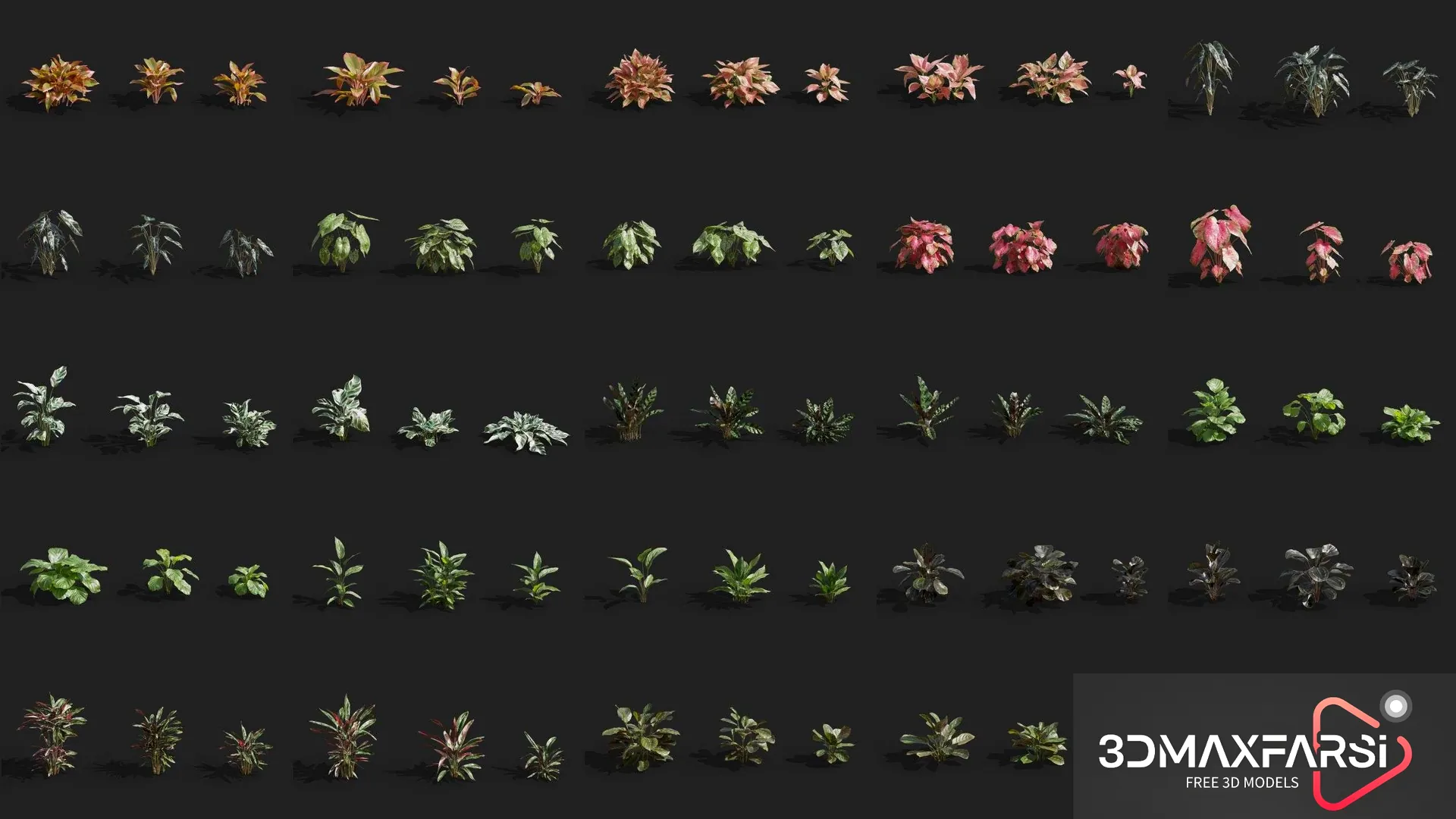 Maxtree – Plant Models Vol 62