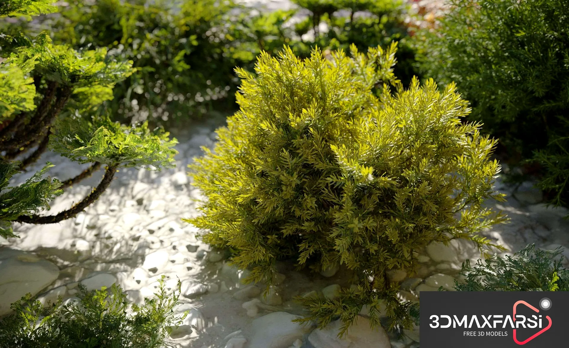 Maxtree – Plant Models Vol 63: 3D plant models free