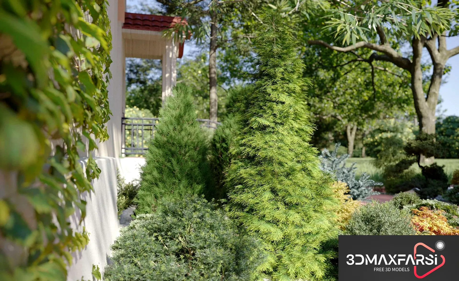 Maxtree – Plant Models Vol 63: 3D plant models download