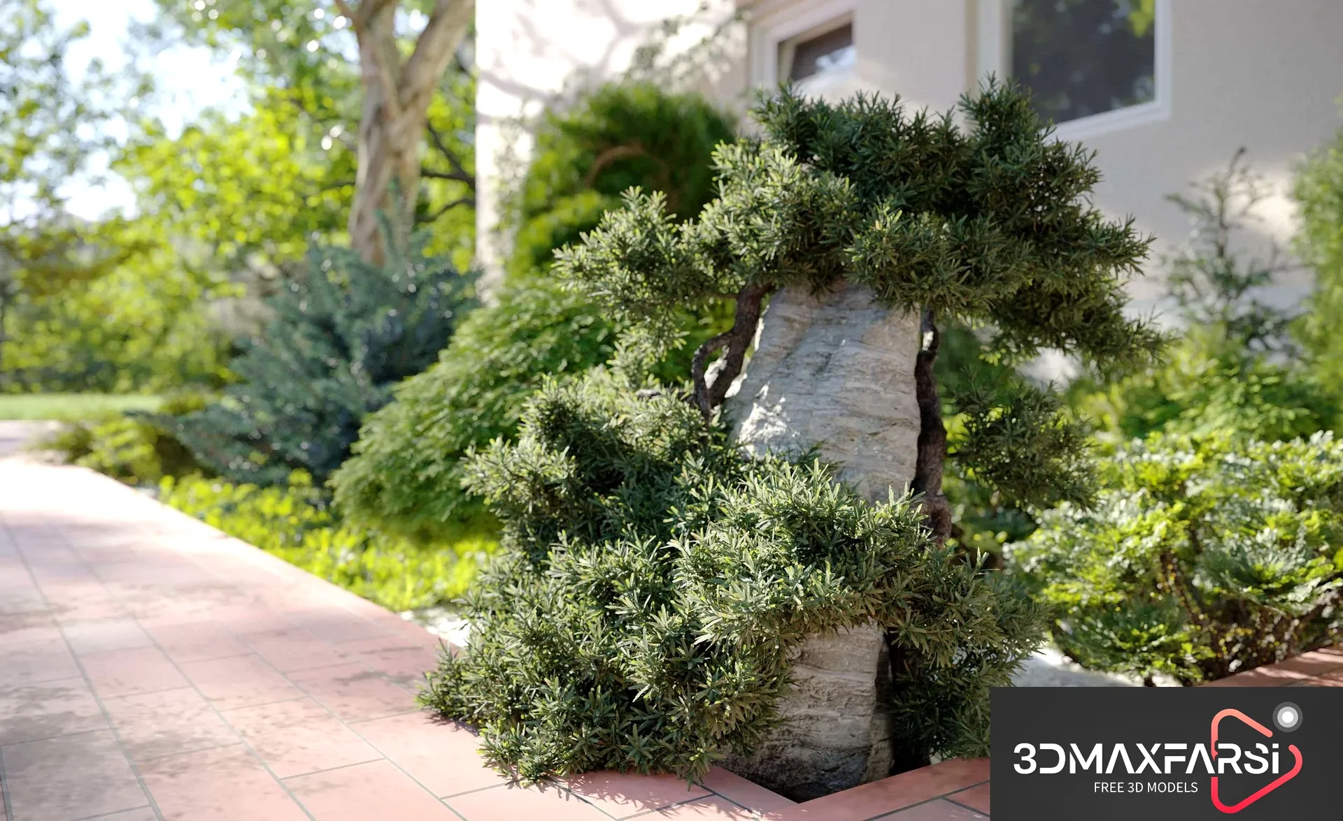 Maxtree – Plant Models Vol 63: 3D plant models free download