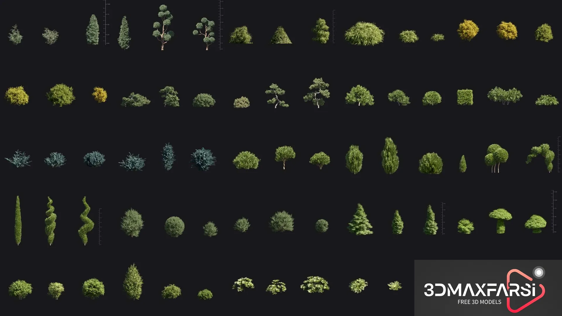 Plant Models Vol 