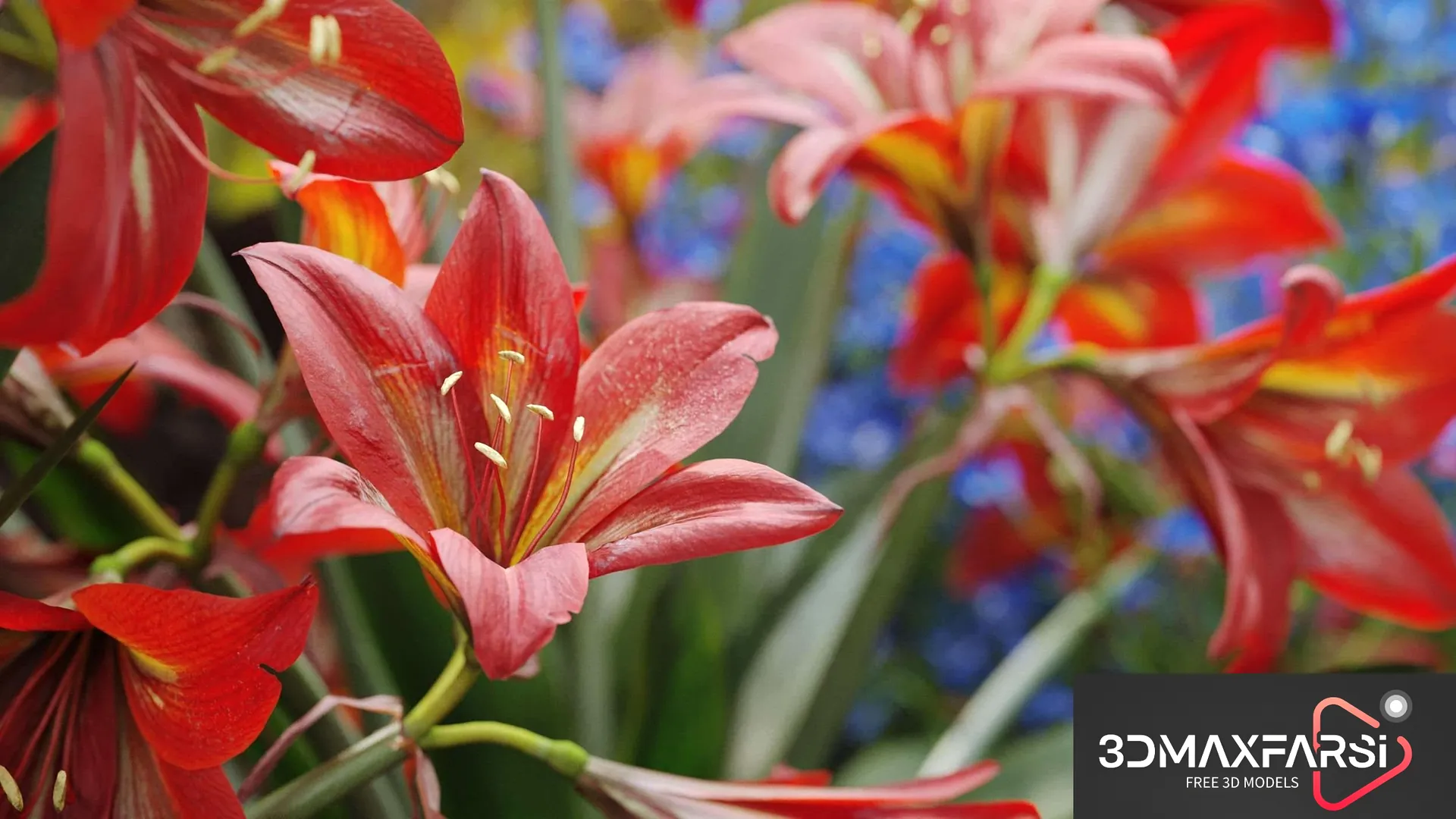 Maxtree – Plant Models Vol 64: 3D flower free