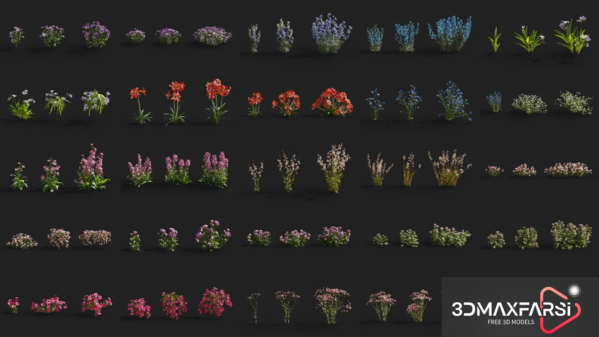 Plant Models Vol 64: 3D 