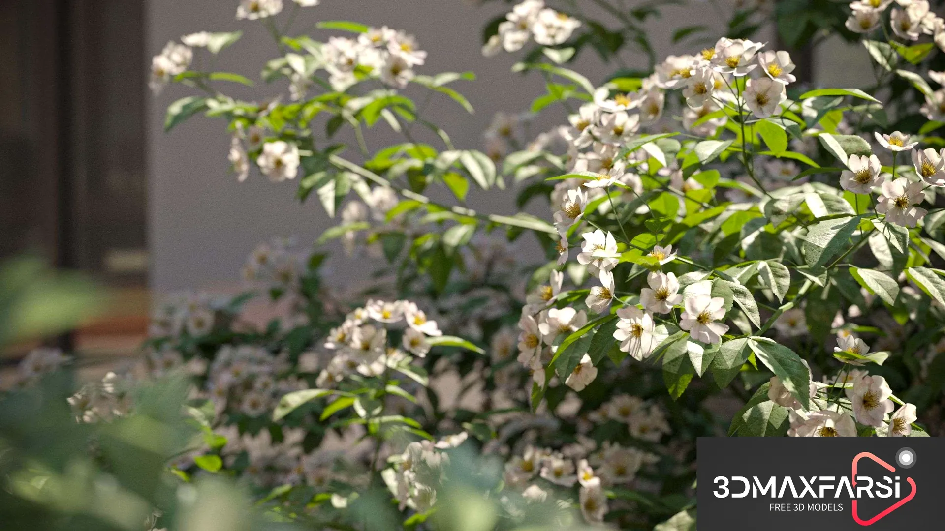 Maxtree – Plant Models Vol 66: 3D plant models