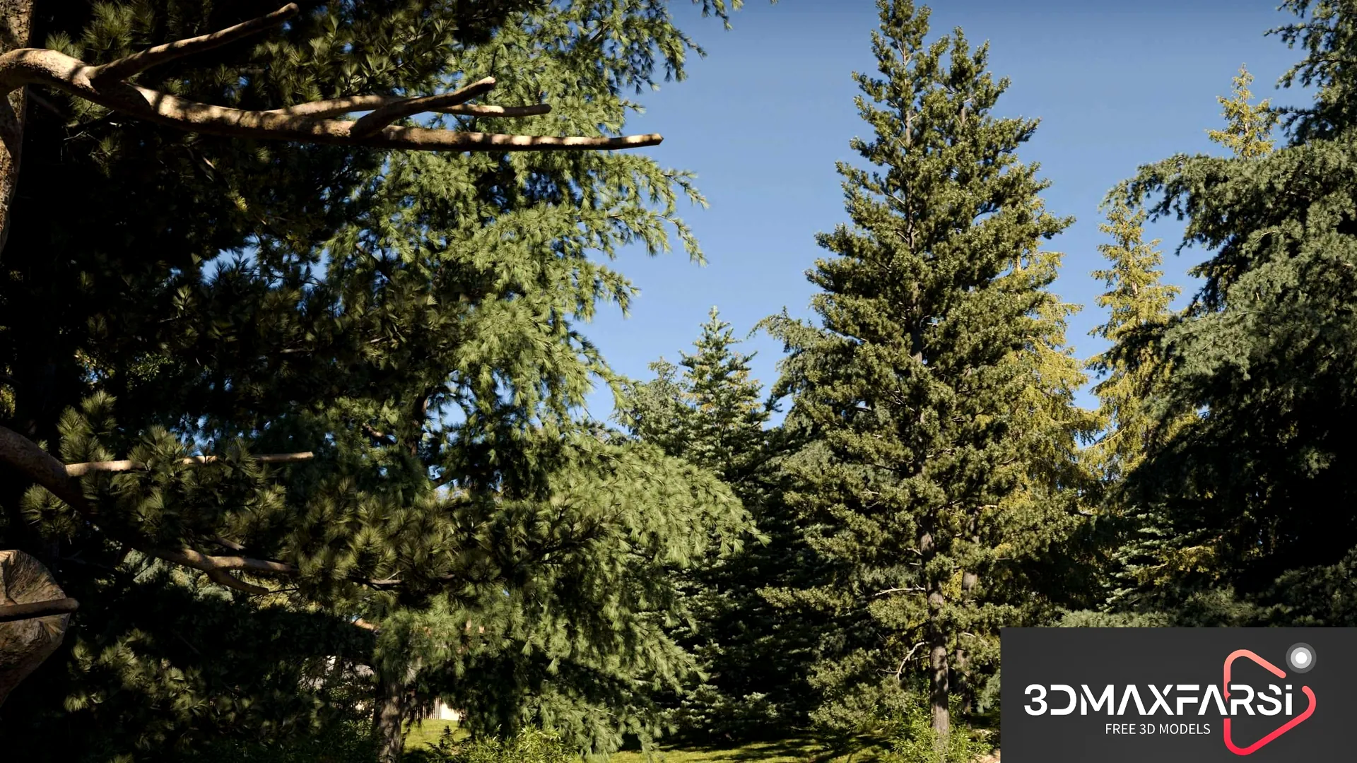 Maxtree – Plant Models Vol 67: 3D plant free
