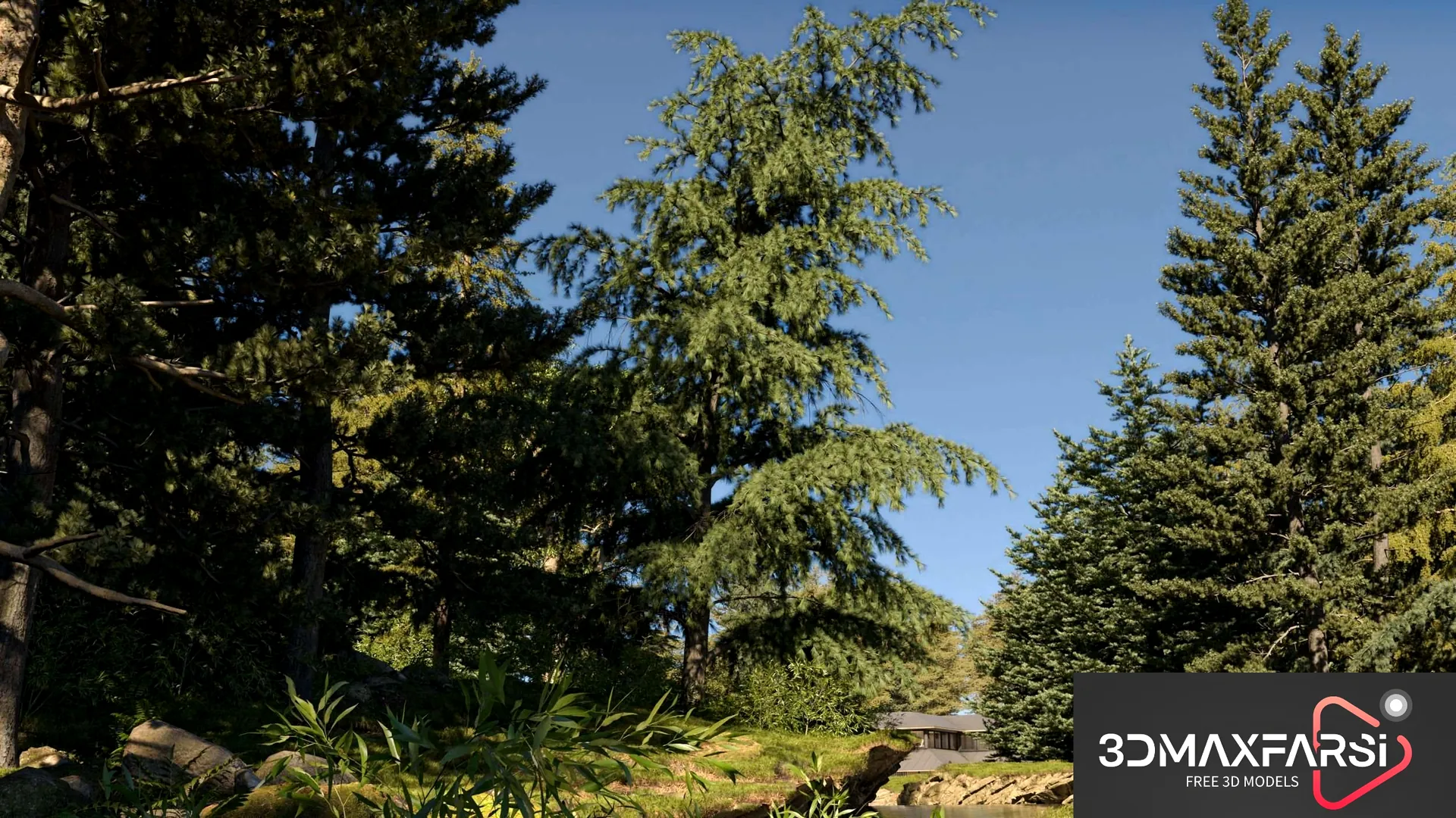 Maxtree – Plant Models Vol 67: 3D models