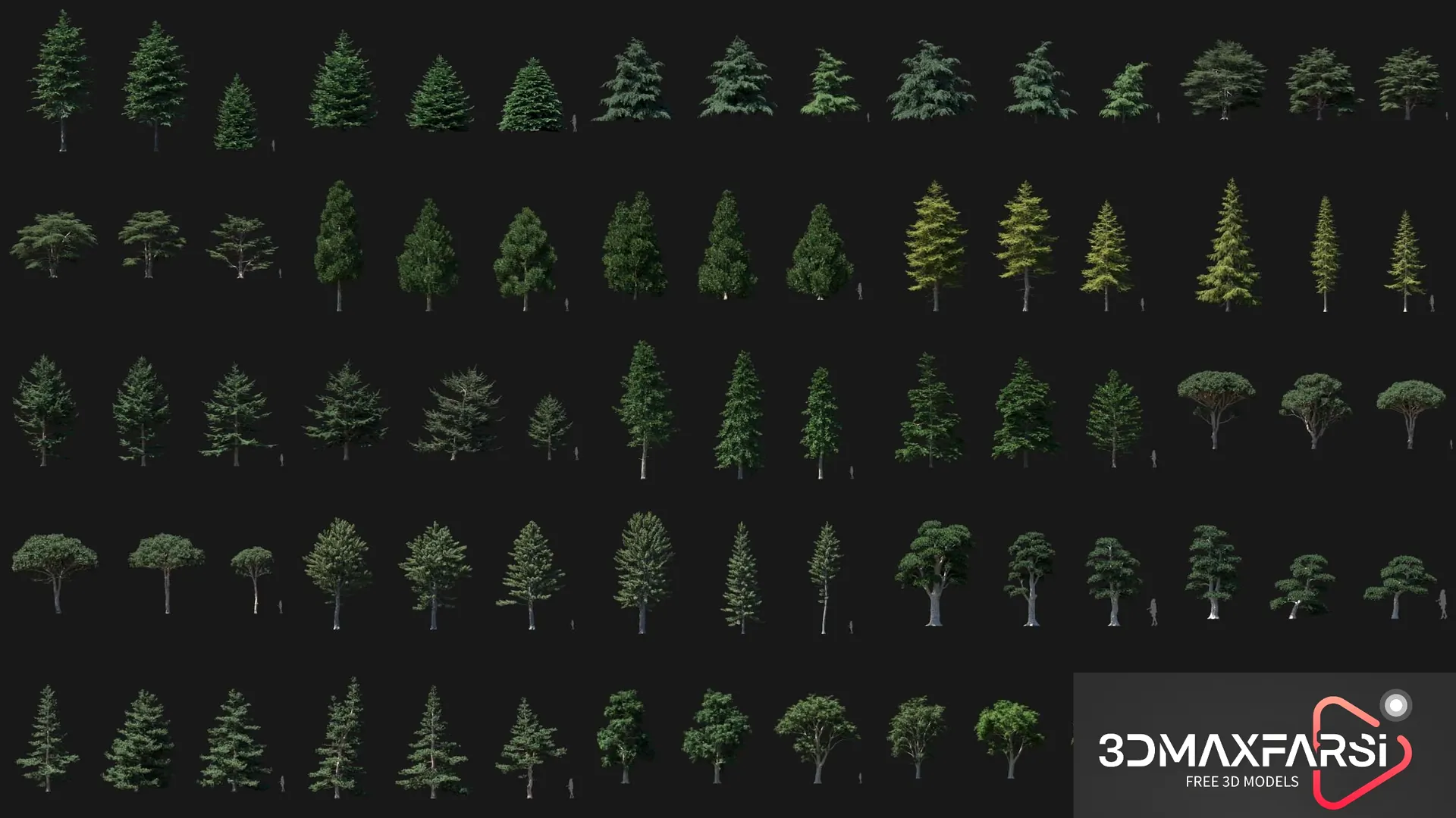 Plant Models Vol 67