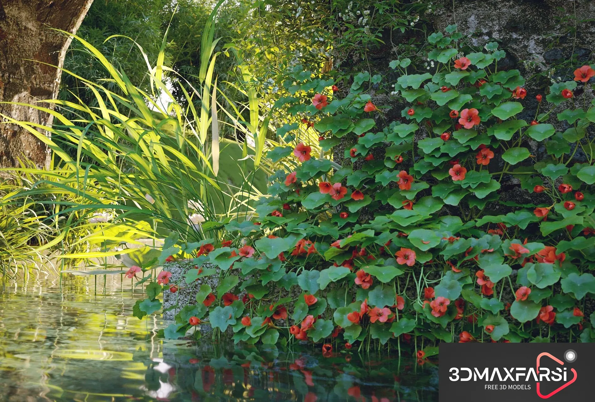 Maxtree – Plant Models Vol 68: 3D plant models download