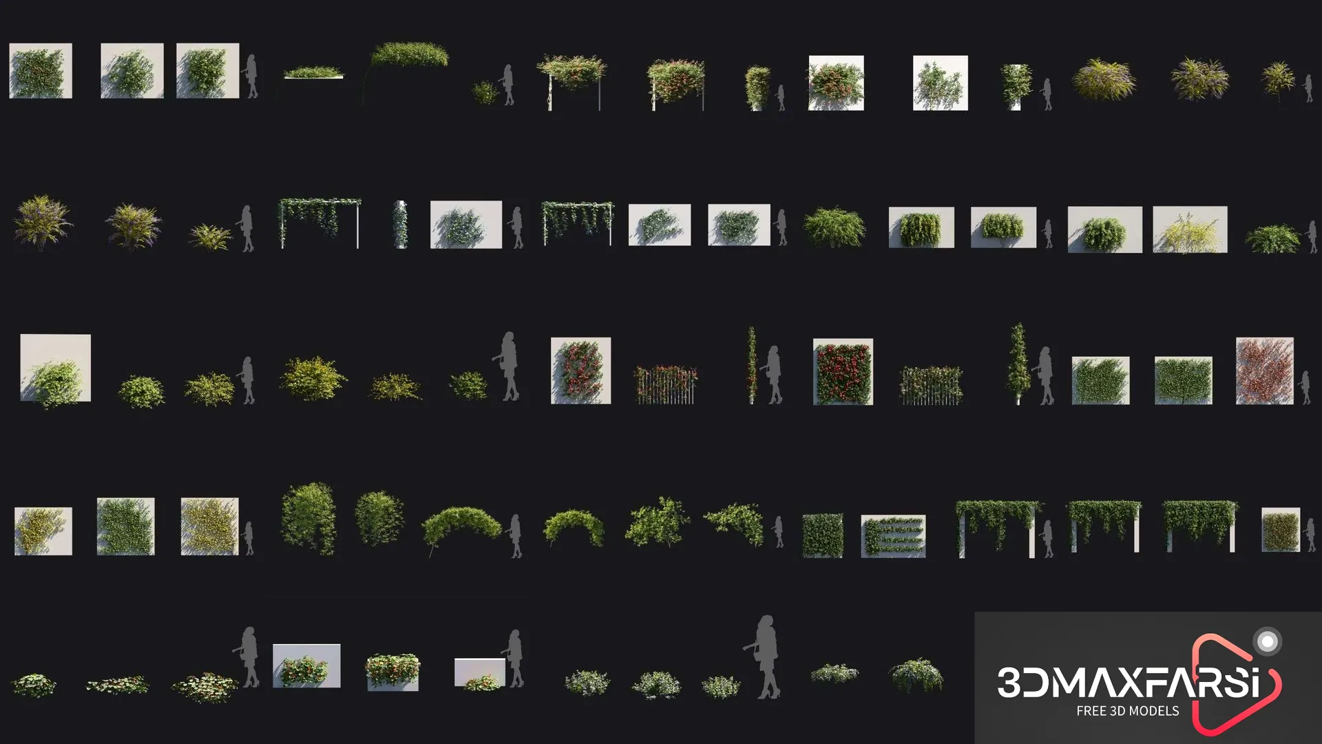 Plant Models Vol 68