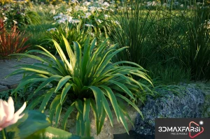Maxtree – Plant Models Vol 69: 3D grass flower models