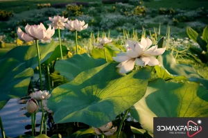 Maxtree – Plant Models Vol 69: 3D grass & flower models