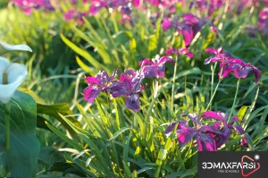 Maxtree – Plant Models Vol 69: 3D grass & flower models