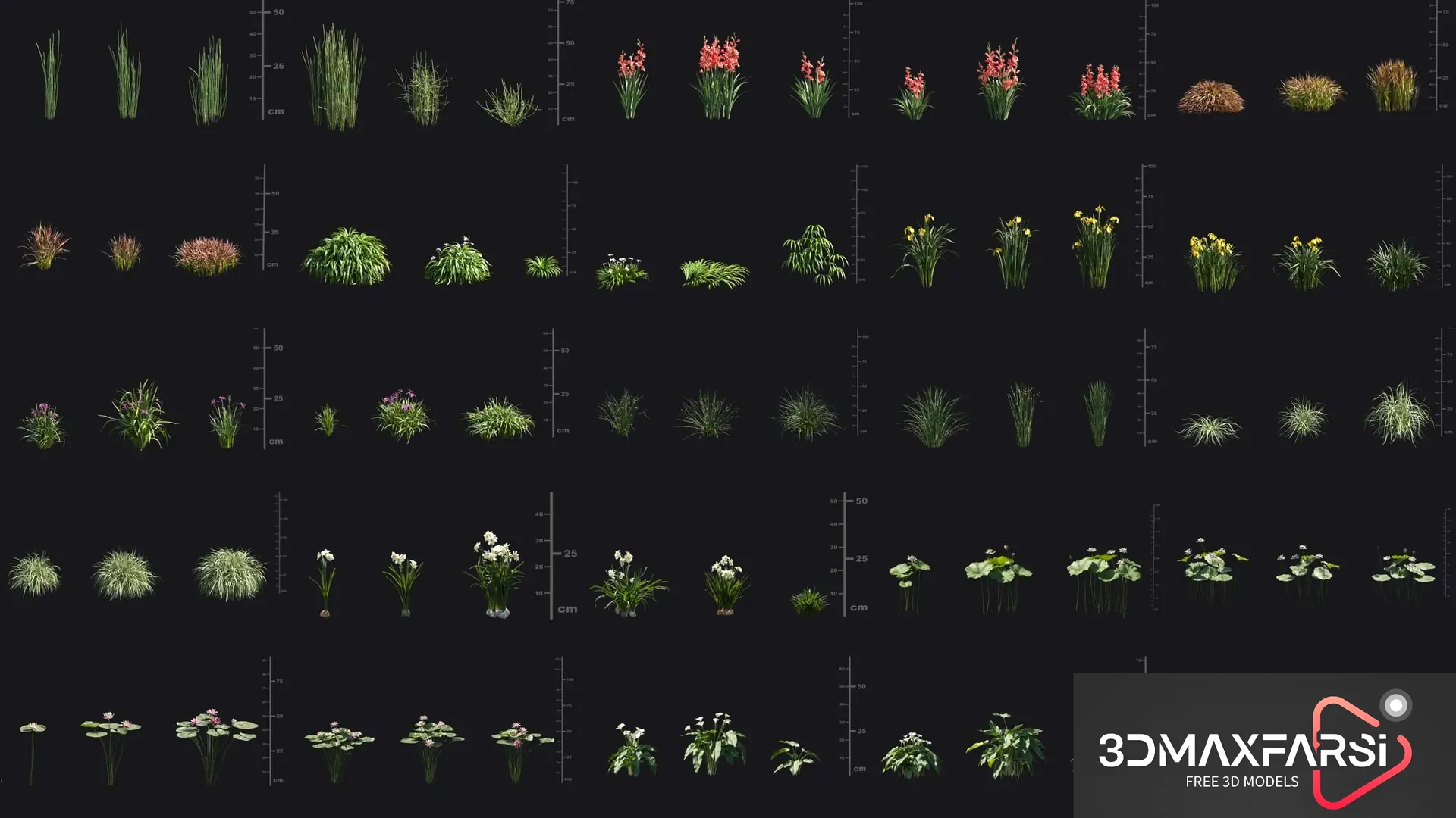 Maxtree – Plant Models Vol 69: 3D grass & flower models