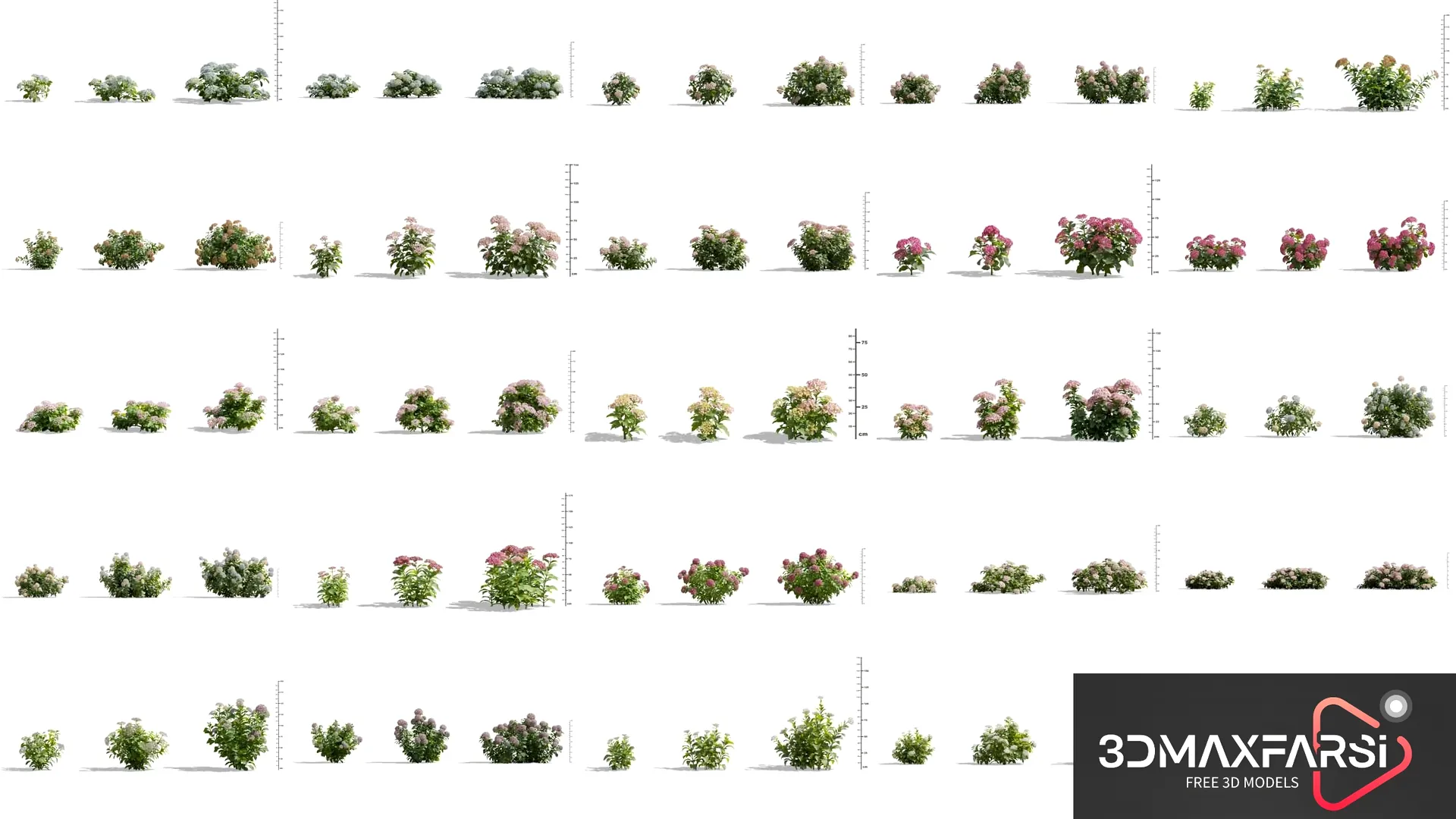 Maxtree – Plant Models Vol 70