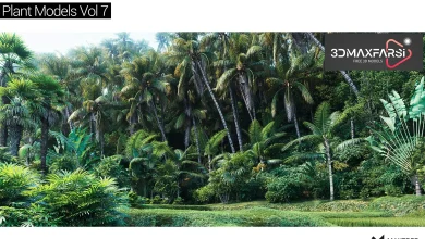 [Download] Maxtree – Plant Models Vol 7