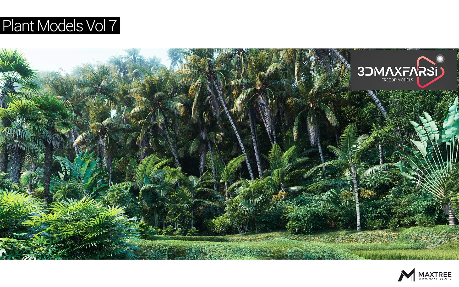 [Download] Maxtree – Plant Models Vol 7