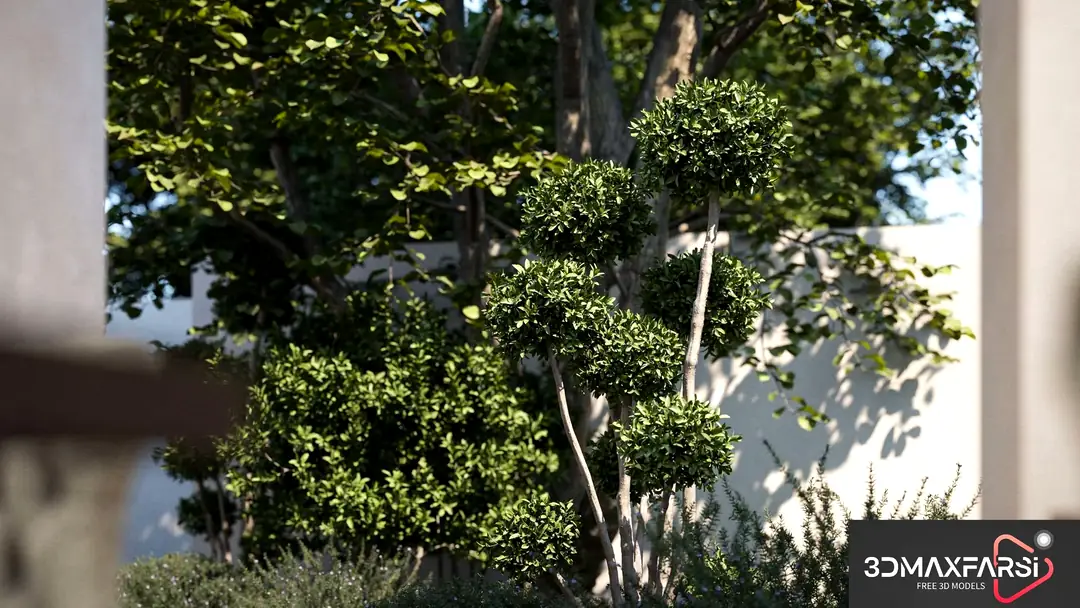 Maxtree – Plant Models Vol. 56 tree