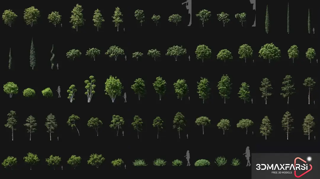 Maxtree – Plant Models Vol. 56 download