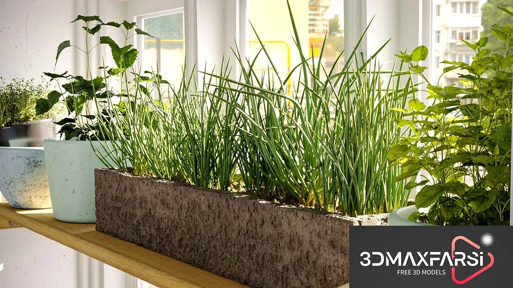 Maxtree – Plant Models Vol. 57 grass download