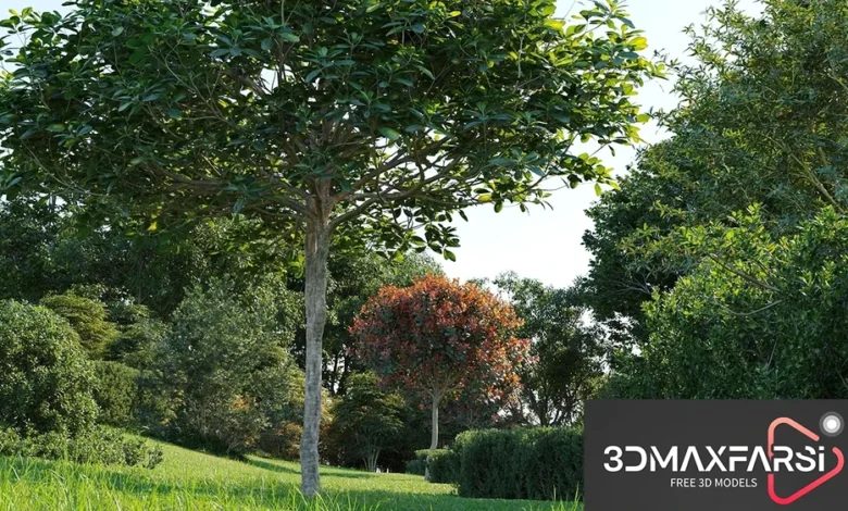 [Free] Maxtree – Plant Models Vol. 58