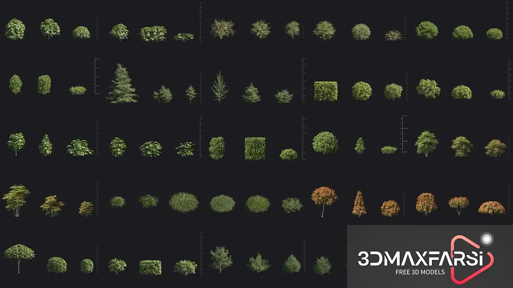 Maxtree – Plant Models Vol. 58