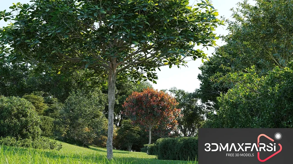 [Free] Maxtree – Plant Models Vol. 58