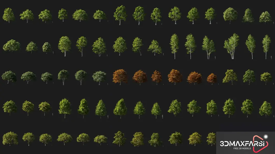 Maxtree – Plant Models Vol. 100