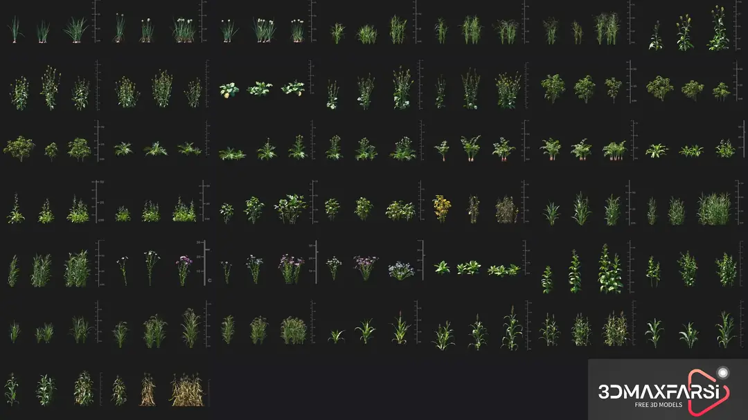 Maxtree – Plant Models Vol. 93