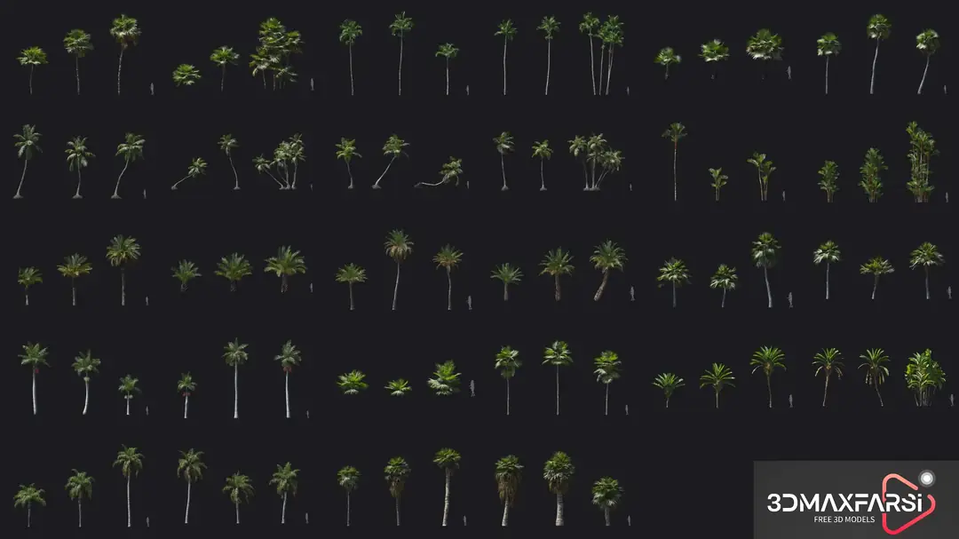 Maxtree – Plant Models Vol. 97