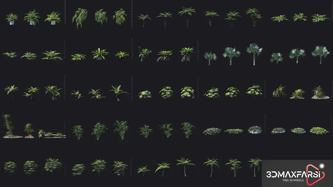 Maxtree – Plant Models Vol. 98