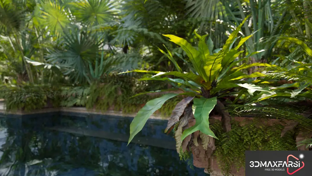 Maxtree – Plant Models Vol. 98