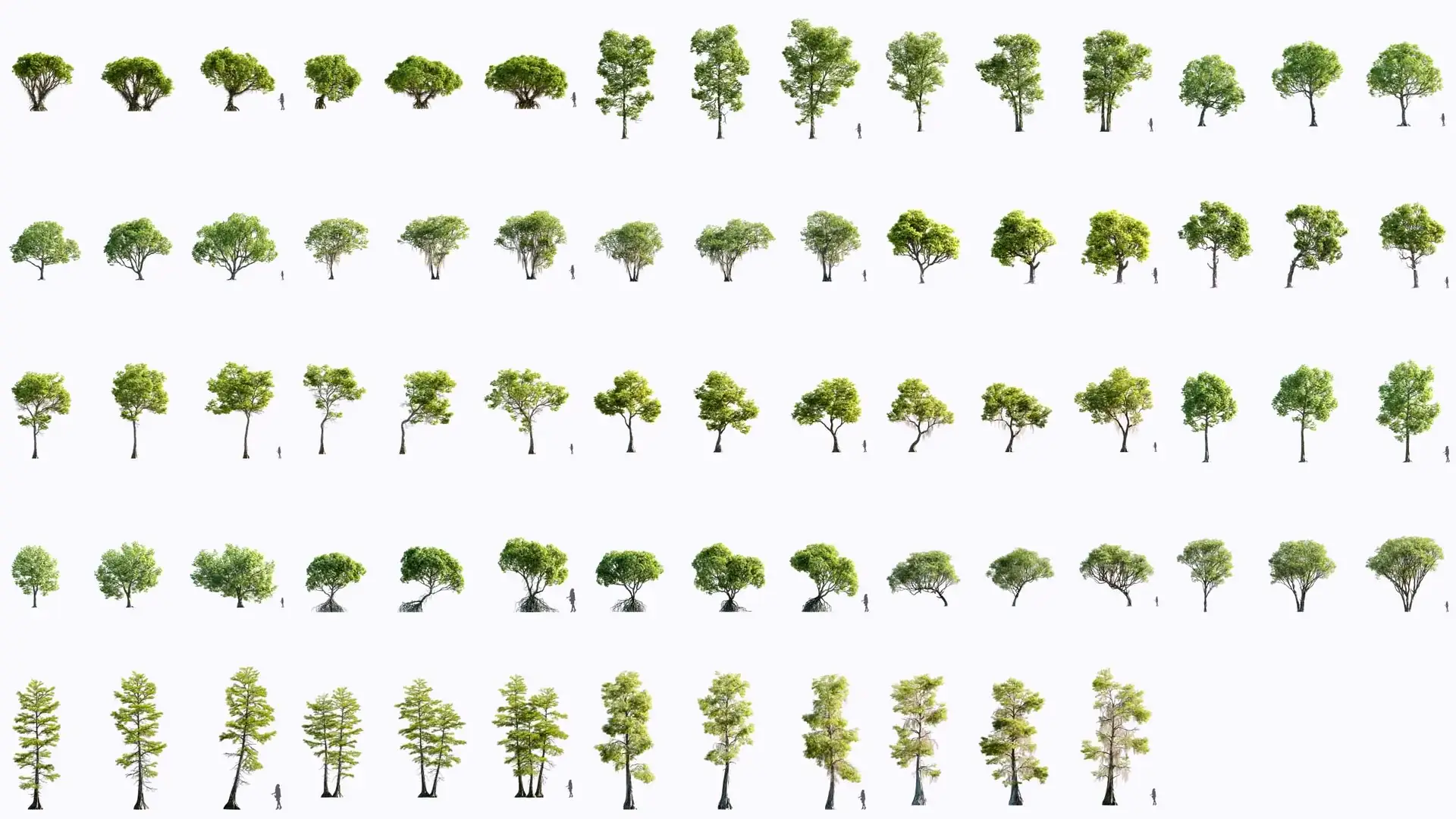 Maxtree – Plant Models Vol. 102