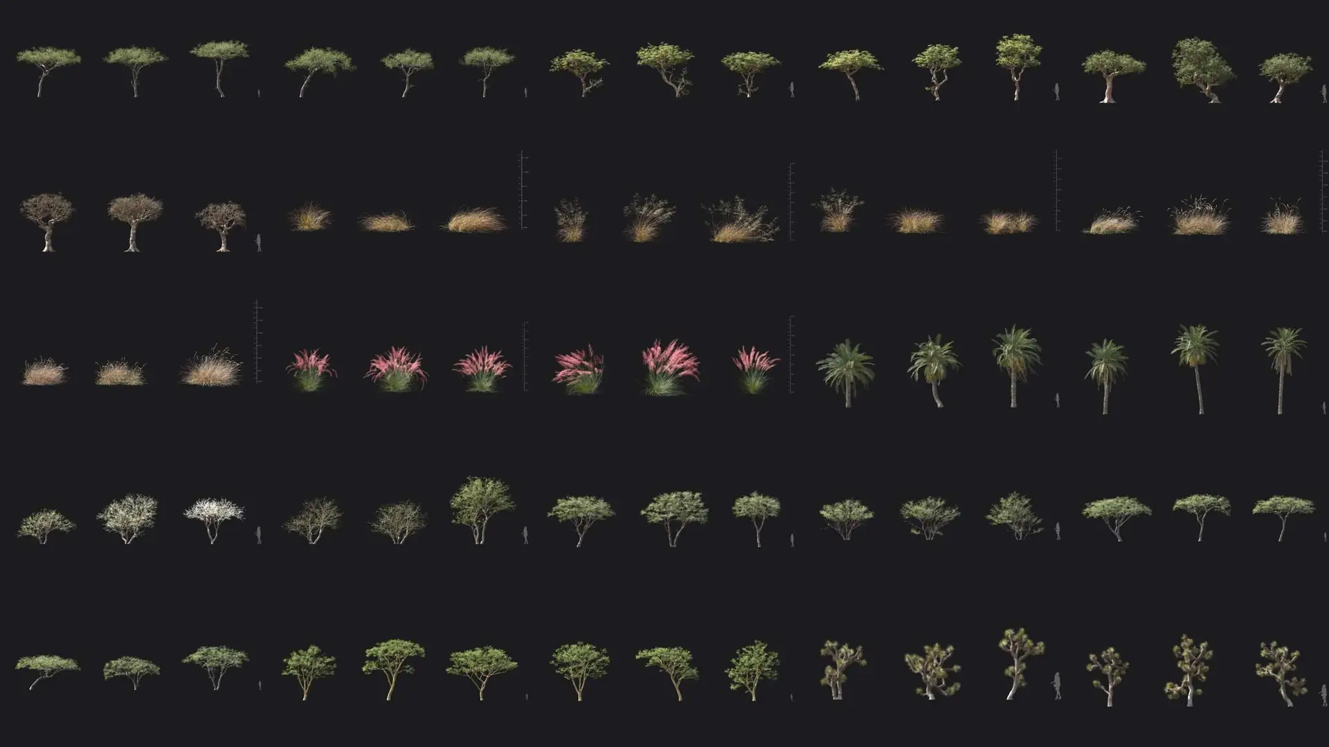 Maxtree – Plant Models Vol. 103