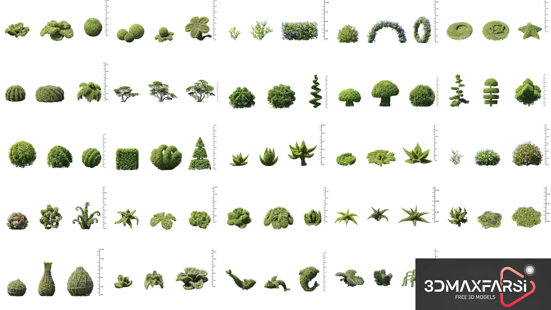Plant Models Volume 104