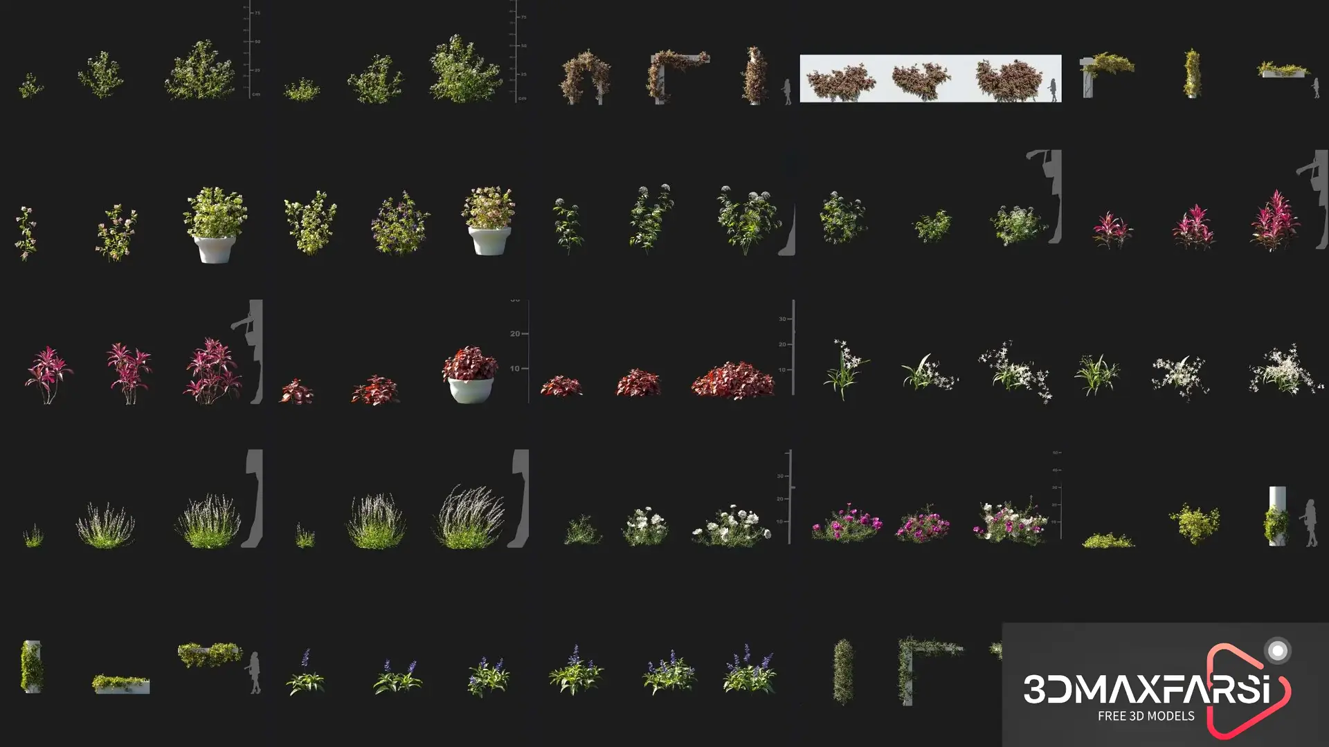 Plant Models Volume 105