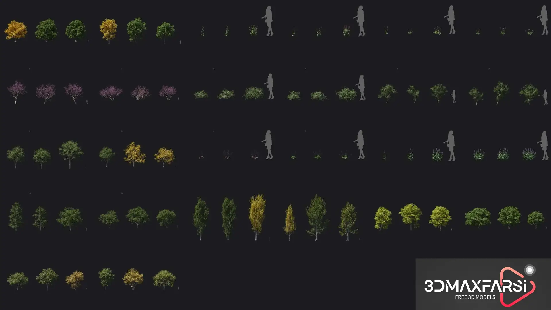 Maxtree – Plant Models Vol. 106