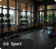 3D Sports Models Free 3D Sports Models & Gym Equipment